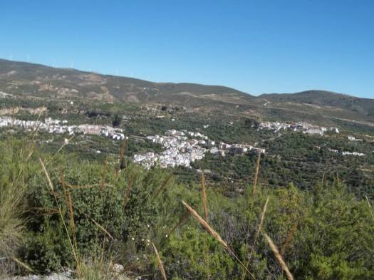 600727_586452064722693_208652612_n